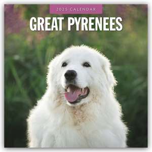 Great Pyrenees - Pyrenäenberghund 2025 - 16-Monatskalender de Robin Red