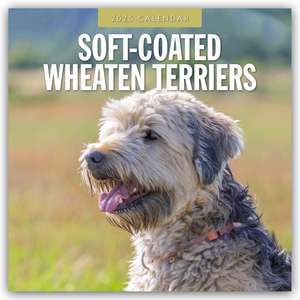 Soft-Coated Wheaten Terriers - Soft-Coated Wheaten Terrier 2025 - 16-Monatskalender de Robin Red