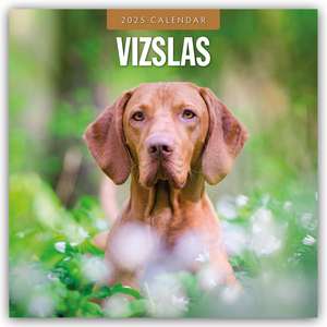 Vizslas - Magyar Vizsla - Kurzhaariger Ungarischer Vorstehhund 2025 - 16-Monatskalender de Robin Red