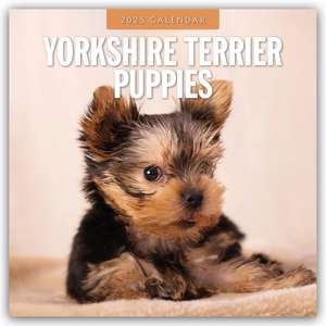 Yorkshire Terrier Puppies - Yorkshire Terrier Hundewelpen 2025 - 16-Monatskalender de Robin Red