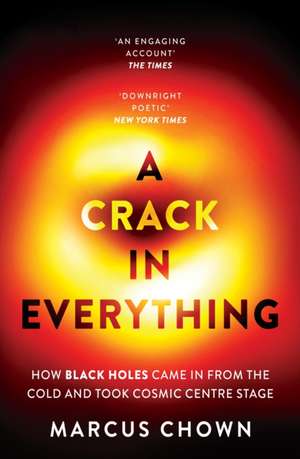 A Crack in Everything de Marcus Chown