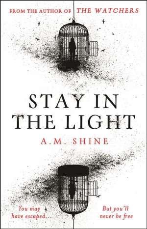 Stay in the Light de A.M. Shine