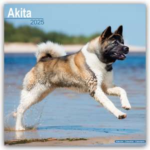 Akitas 2025 - 16-Monatskalender de Avonside Publishing Ltd.