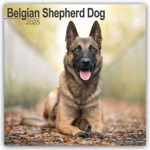 Belgian Shepherd Dog - Belgischer Schäferhund 2025 - 16-Monatskalender de Avonside Publishing