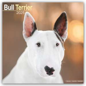 Avonside Publishing Ltd: Bull Terrier - Bull Terrier 2025 -