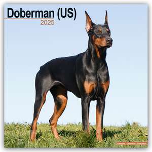 Doberman - Dobermann 2025 - 16-Monatskalender de Avonside Publishing Ltd