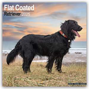 Flat-Coated Retriever 2025 - 16-Monatskalender de Avonside Publishing Ltd.