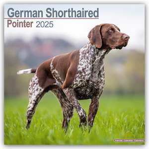 German Shorthaired Pointer - Deutsch Kurzhaar 2025 - 16-Monatskalender de Avonside Publishing Ltd