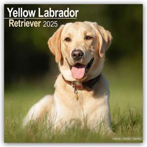 Yellow Labrador Retriever - Gelber Labrador 2025 - 16-Monatskalender de Avonside Publishing Ltd