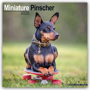 Miniature Pinscher - Zwergpinscher 2025 - 16-Monatskalender de Avonside Publishing Ltd