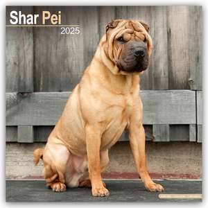 Avonside Publishing Ltd: Shar Pei - Shar-Pei 2025 - 16-Monat