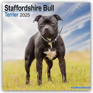 Staffordshire Bull Terrier - Staffordshire Bull Terrier 2025 - 16-Monatskalender de Avonside Publishing Ltd