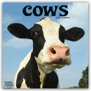 Avonside Publishing Ltd: Cows - Kühe 2025 - 16-Monatskalende