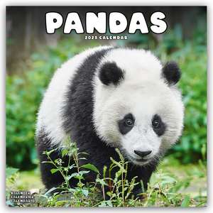 Pandas - Pandabären 2025 - 16-Monatskalender de Avonside Publishing Ltd