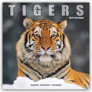 Avonside Publishing Ltd: Tigers - Tiger 2025 - 16-Monatskale