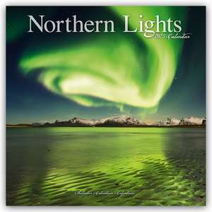 Avonside Publishing Ltd: Northern Lights - Faszinierendes No