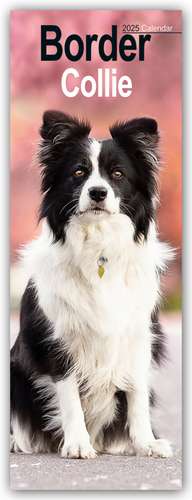 Border Collies 2025 de Avonside Publishing Ltd