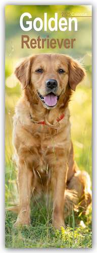 Golden Retrievers - Golden Retriever 2025 de Avonside Publishing Ltd