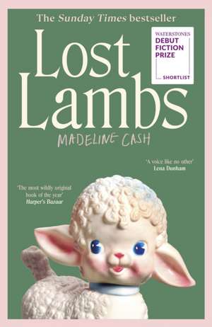 Lost Lambs de Madeline Cash