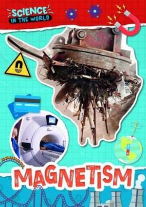 Magnetism de Joanna Brundle