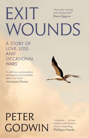 Exit Wounds de Peter Godwin