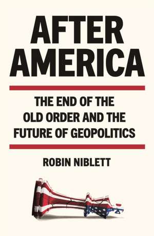 After America de Robin Niblett