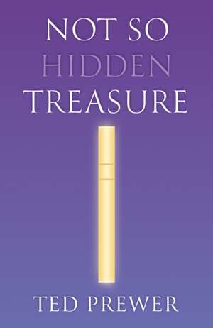 Not So Hidden Treasure de Ted Prewer