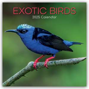 Exotic Birds - Exotische Vögel 2025 - 16-Monatskalender de Gifted Stationery Co. Ltd