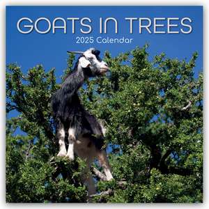 Goats in Trees - Ziegen auf Bäumen 2025 - 16-Monatskalender de Gifted Stationery Co. Ltd