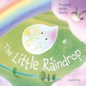 The Little Raindrop - A water cycle story de Joanna Gray