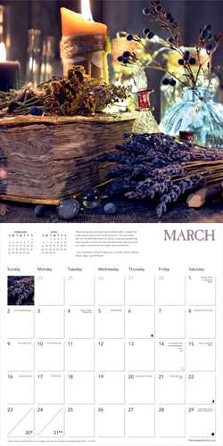 Wicca Wall Calendar 2025 (Art Calendar) de Flame Tree Studio