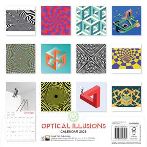 Optical Illusions Wall Calendar 2026 (Art Calendar) de Flame Tree Studio