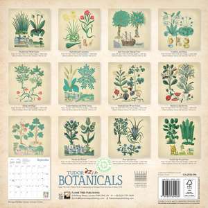 Bodleian Libraries: Tudor Botanicals Wall Calendar 2026 (Art Calendar) de Flame Tree Studio