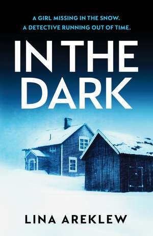 In the Dark: A gripping and atmospheric Scandi noir crime thriller for fans of Will Dean de Lina Areklew