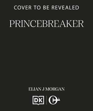 Princebreaker: The captivating queer fantasy, packed full of yearning and adventure de Elian J Morgan