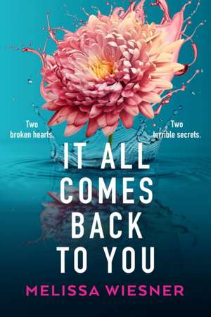 It All Comes Back to You de Melissa Wiesner