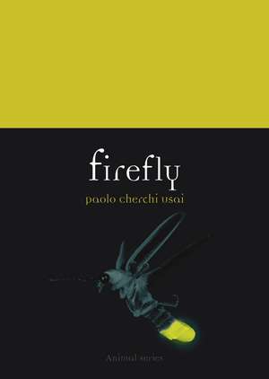 Firefly de Paolo Cherchi Usai