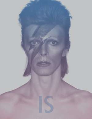 David Bowie Is de Victoria Broackes