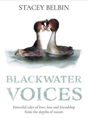 Belbin, S: Blackwater Voices de Stacey Belbin