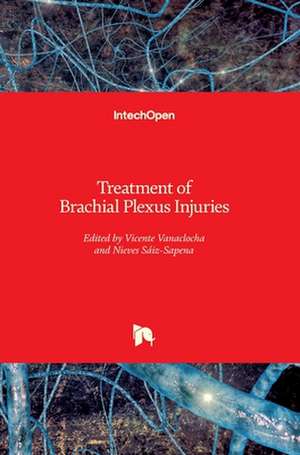 Treatment of Brachial Plexus Injuries de Vicente Vanaclocha