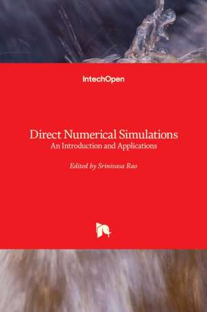 Direct Numerical Simulations de Srinivasa Rao