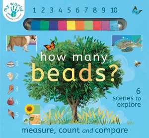 How Many Beads? de Nicola Edwards