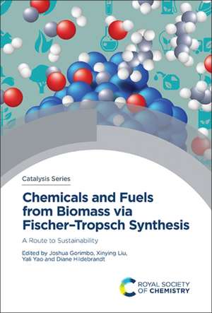 Chemicals and Fuels from Biomass Via Fischer-Tropsch Synthesis de Joshua Gorimbo