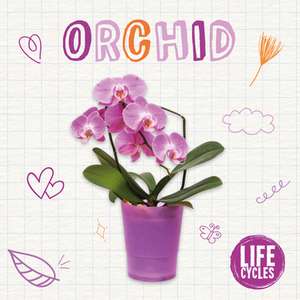 Orchid de Brenda McHale