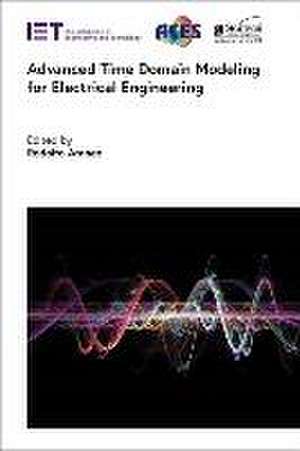 Advanced Time Domain Modeling for Electrical Engineering de Rodolfo Araneo