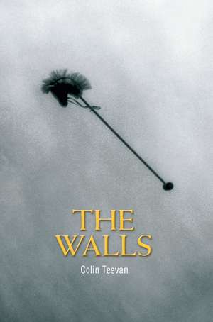 The Walls de Colin Teevan