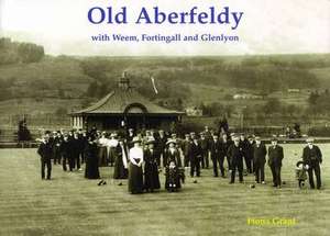 Old Aberfeldy de Fiona Grant