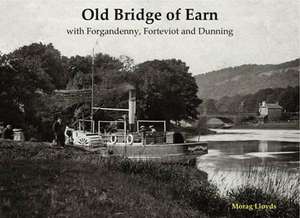 Old Bridge of Earn de Morag Lloyds