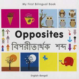 Opposites de Milet Publishing