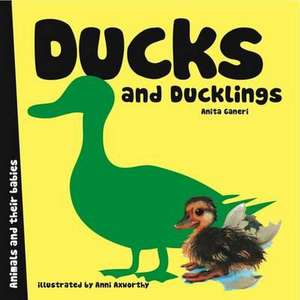 Ducks and Ducklings de ANITA GANERI